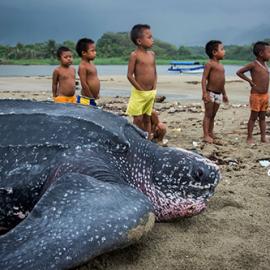 Nine Pieces of Advice for the Community-based Conservationist